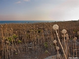 lampedusa_12-16_agosto_2012______0165