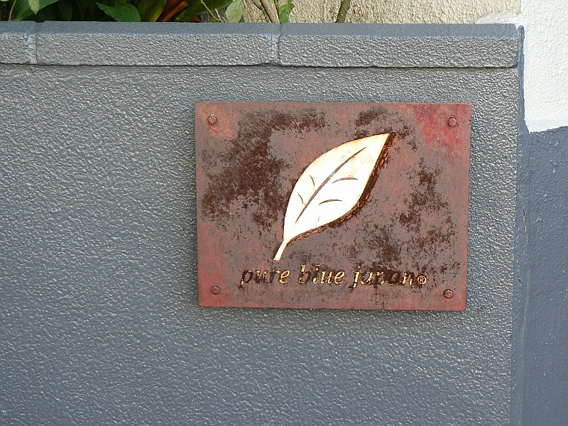 P1120033.JPG