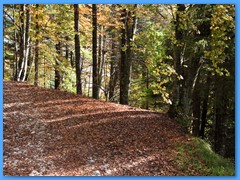 22 OTTOBRE 2011 - RIFUGIO DAL PIAZ03