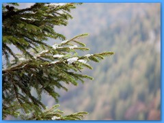 22 OTTOBRE 2011 - RIFUGIO DAL PIAZ11