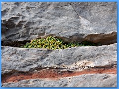 22 OTTOBRE 2011 - RIFUGIO DAL PIAZ51