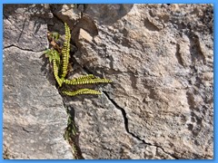 22 OTTOBRE 2011 - RIFUGIO DAL PIAZ53