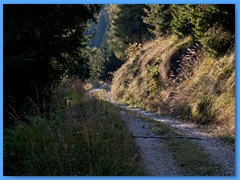 22 OTTOBRE 2011 - RIFUGIO DAL PIAZ66