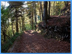 22 OTTOBRE 2011 - RIFUGIO DAL PIAZ68