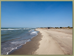 IMG_7293 copia
