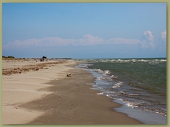 IMG_7319 copia