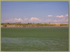 IMG_7323 copia
