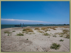IMG_7325 copia