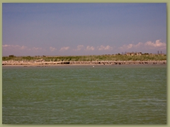 IMG_7326 copia