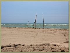 IMG_7332 copia