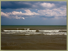 IMG_7350 copia