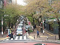 DSCN4172