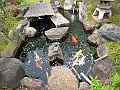 DSCN4195