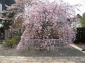 DSCN4197