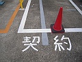 DSCN4242