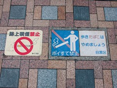 TOKYO GIUGNO 2014 (26)